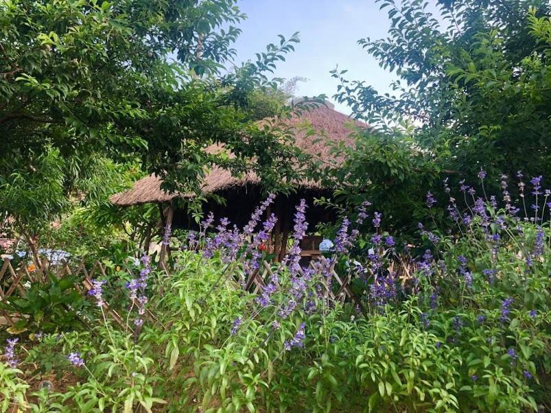 Savana Moc Chau Bed & Breakfast Екстериор снимка