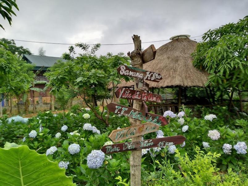 Savana Moc Chau Bed & Breakfast Екстериор снимка