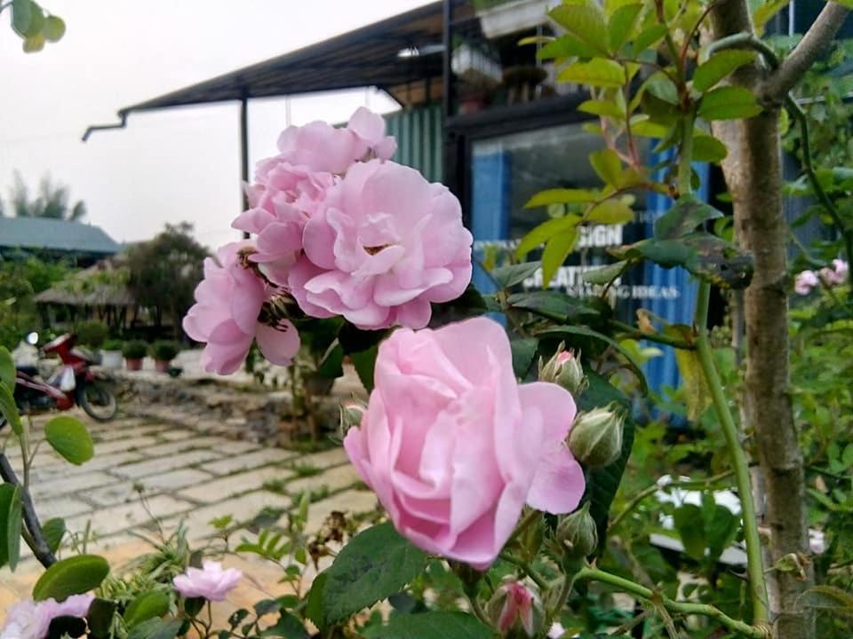 Savana Moc Chau Bed & Breakfast Екстериор снимка