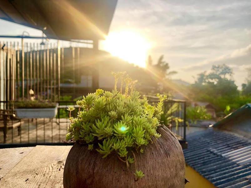 Savana Moc Chau Bed & Breakfast Екстериор снимка
